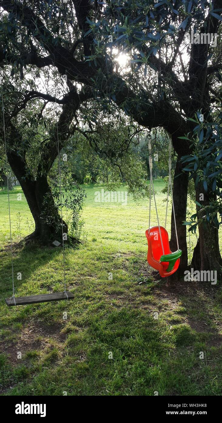 Rope swing from branch tree hires stock photography and images Alamy