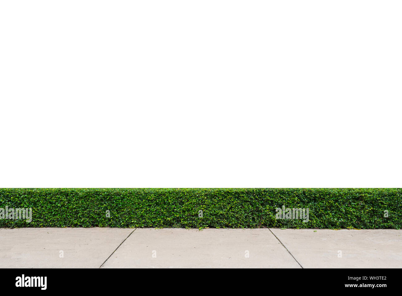 tree wall with concrete floor isolated on white background Stock Photo