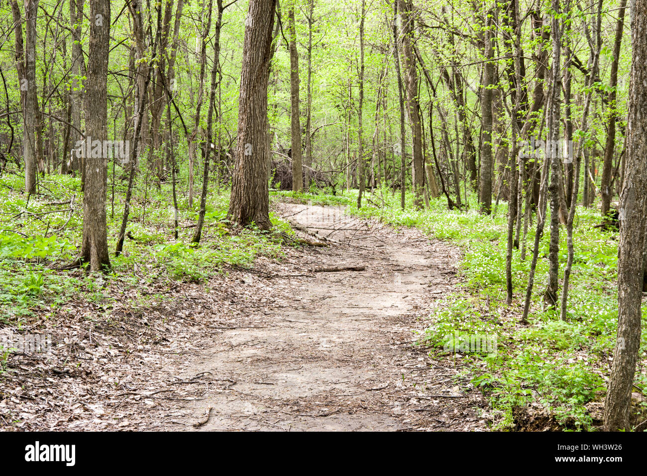Seven Mile Creek County Park, Minnesota Stock Photo Alamy