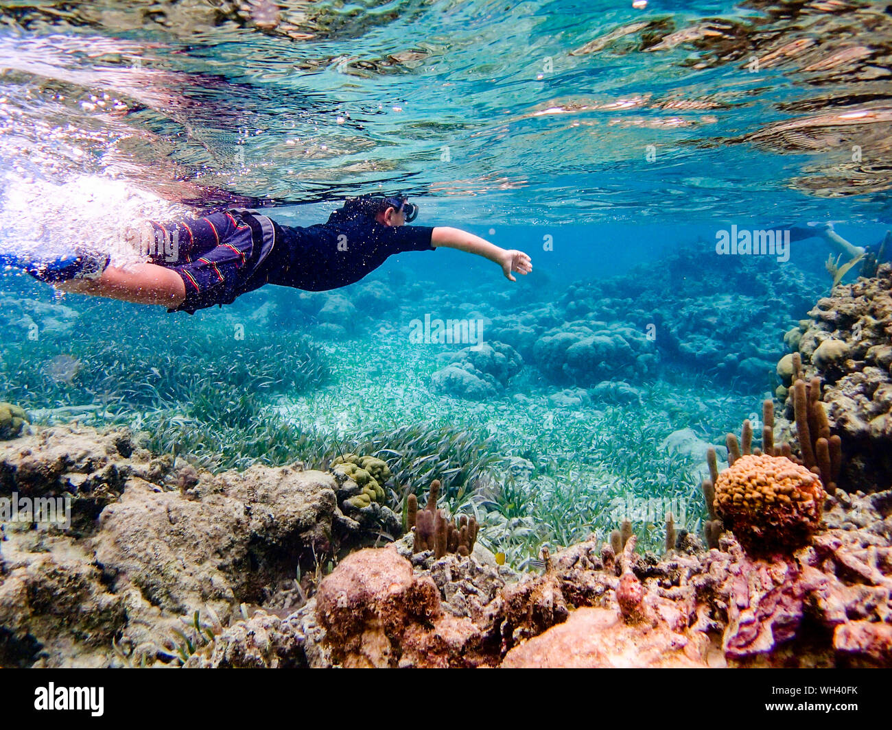 Boy diving in to sea hi-res stock photography and images - Alamy