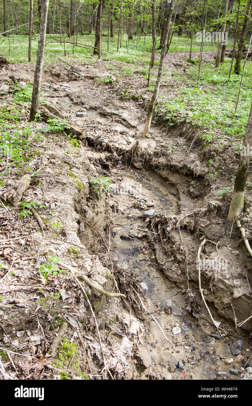 Seven Mile Creek County Park, Minnesota Stock Photo Alamy
