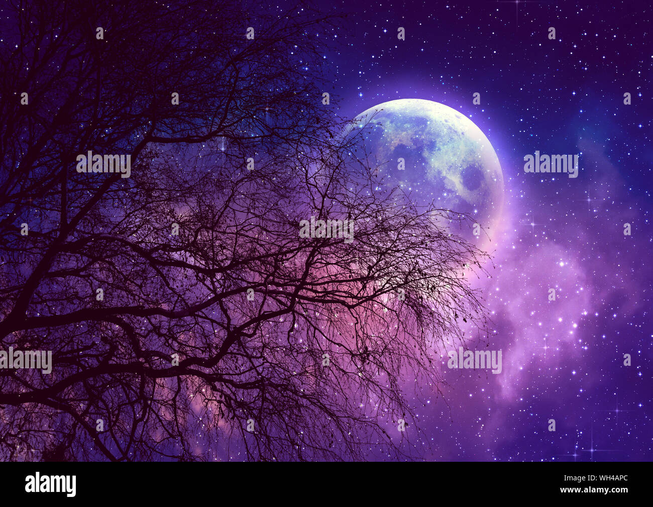 black and purple moon wallpaper
