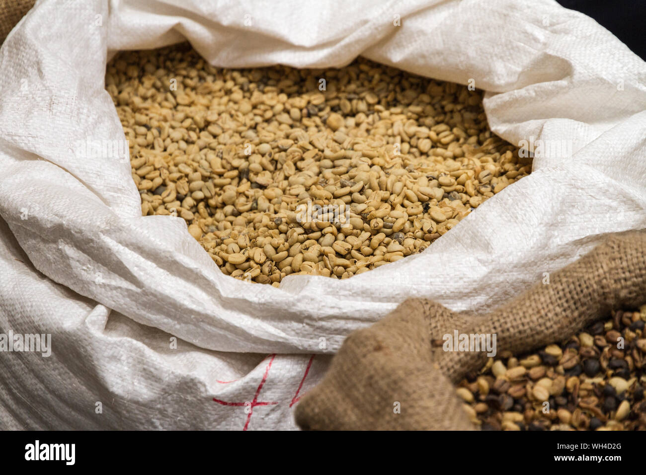 Raw coffee beans stored in sacks. Produced in Costa Rica Stock Photo