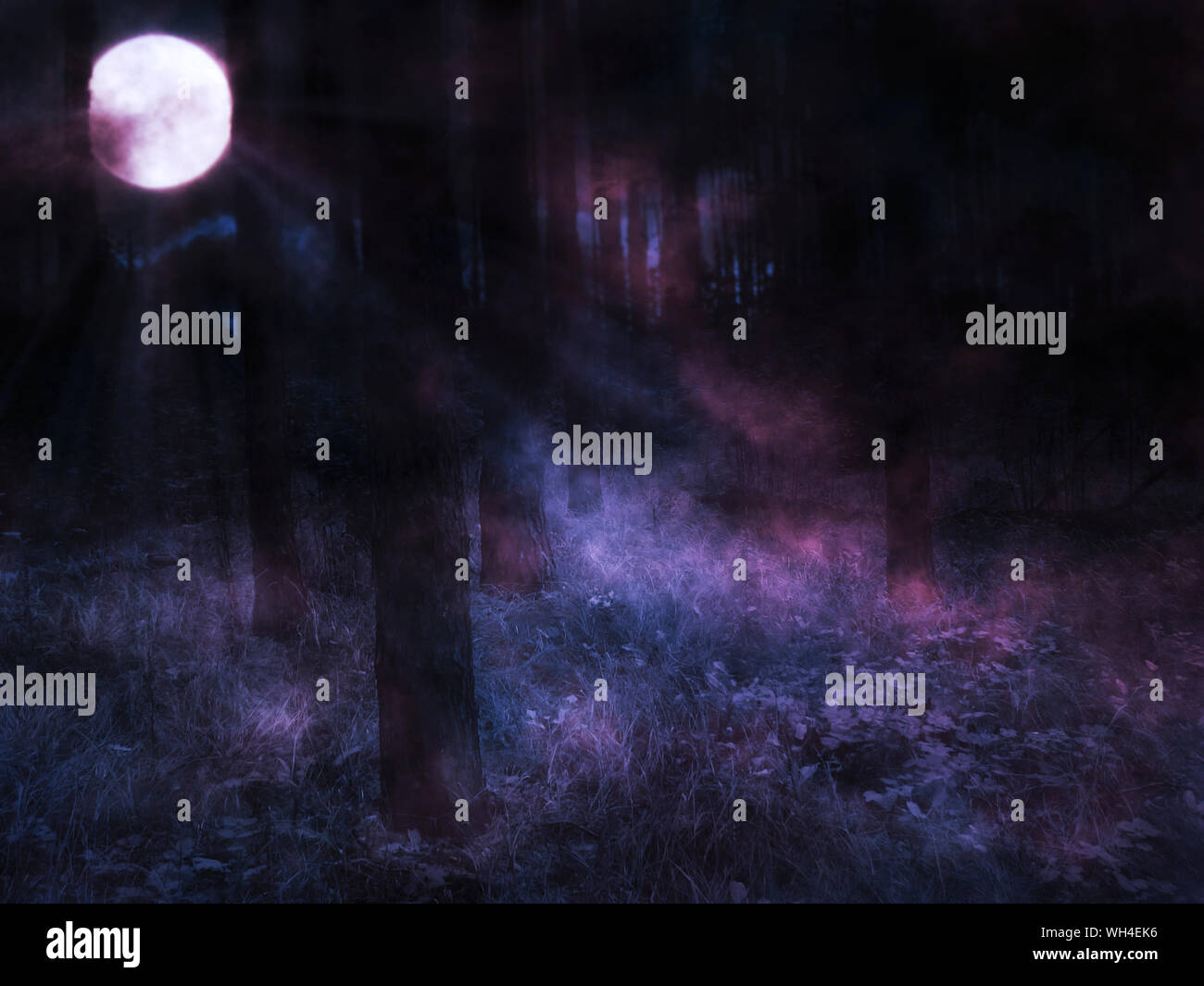 Dark mysterious foggy forest and full moon Stock Photo - Alamy