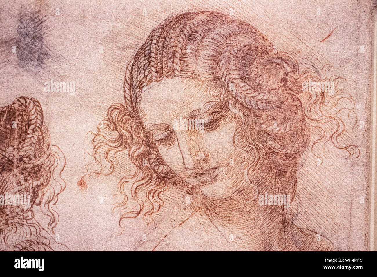Exhibition of Leonardo Da Vinci's amazing drawings in London which