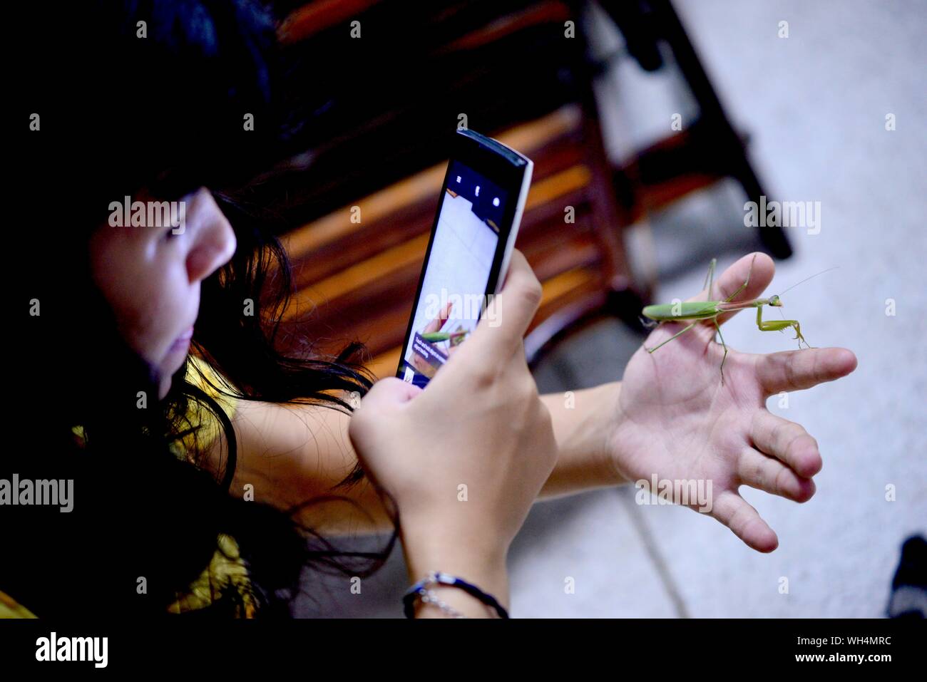 Smart phone mobile wildlife hi-res stock photography and images - Alamy