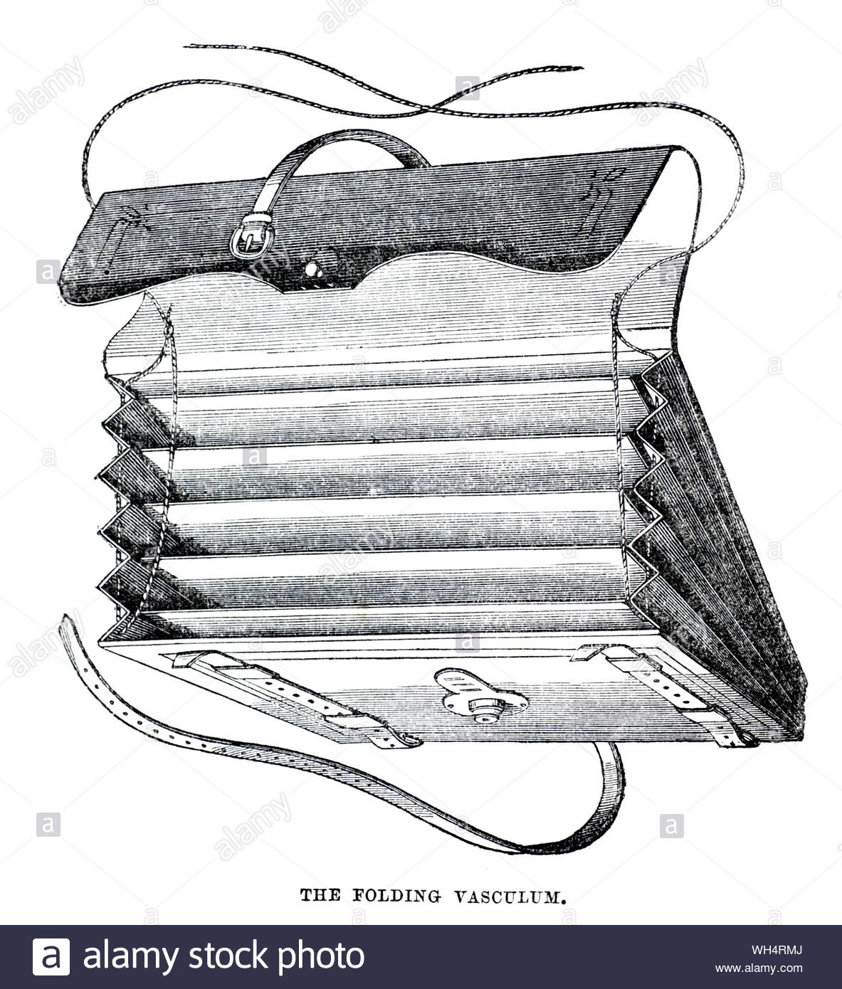Folding Vasculum, vintage illustration from 1884 Stock Photo