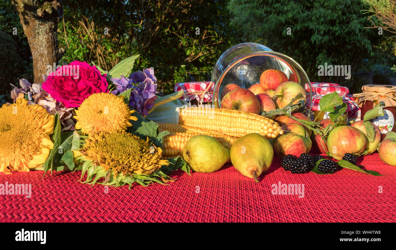 Vegetable cornucopia hires stock photography and images Alamy