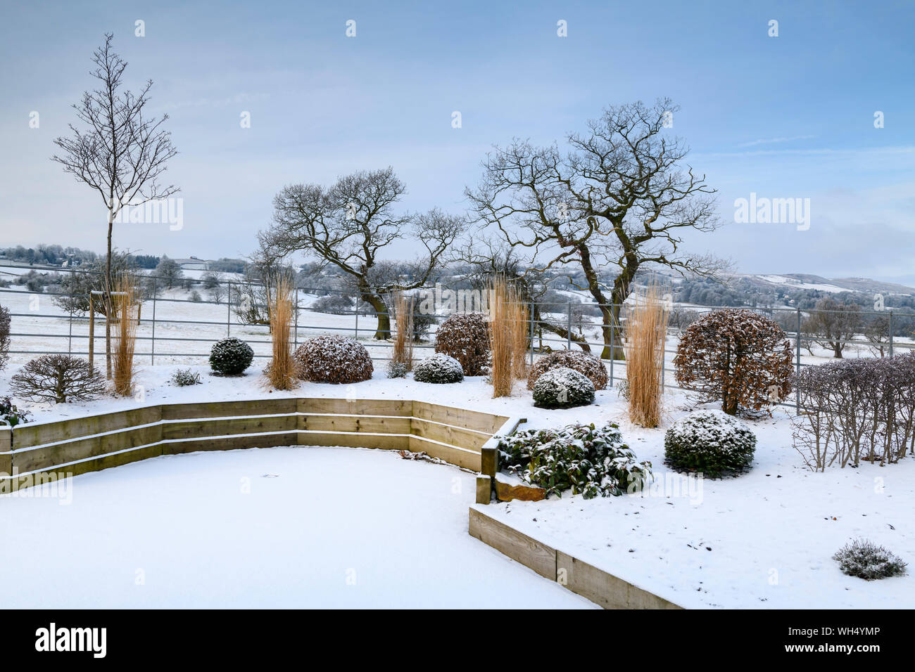 Stylish, contemporary design, landscaping & planting on wooden raised