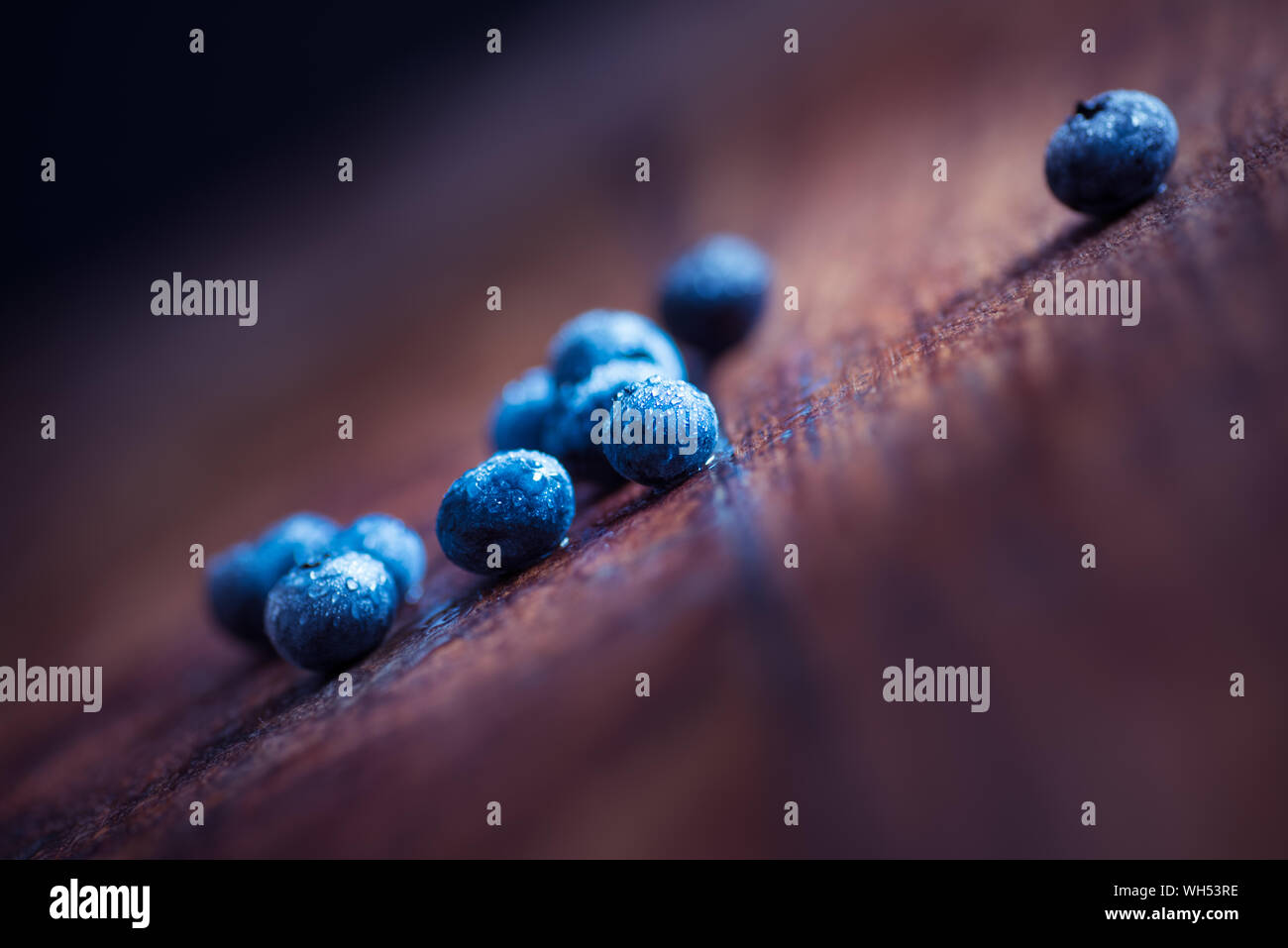 Blueberries Are Low in Calories But High in Nutrients Stock Photo - Alamy