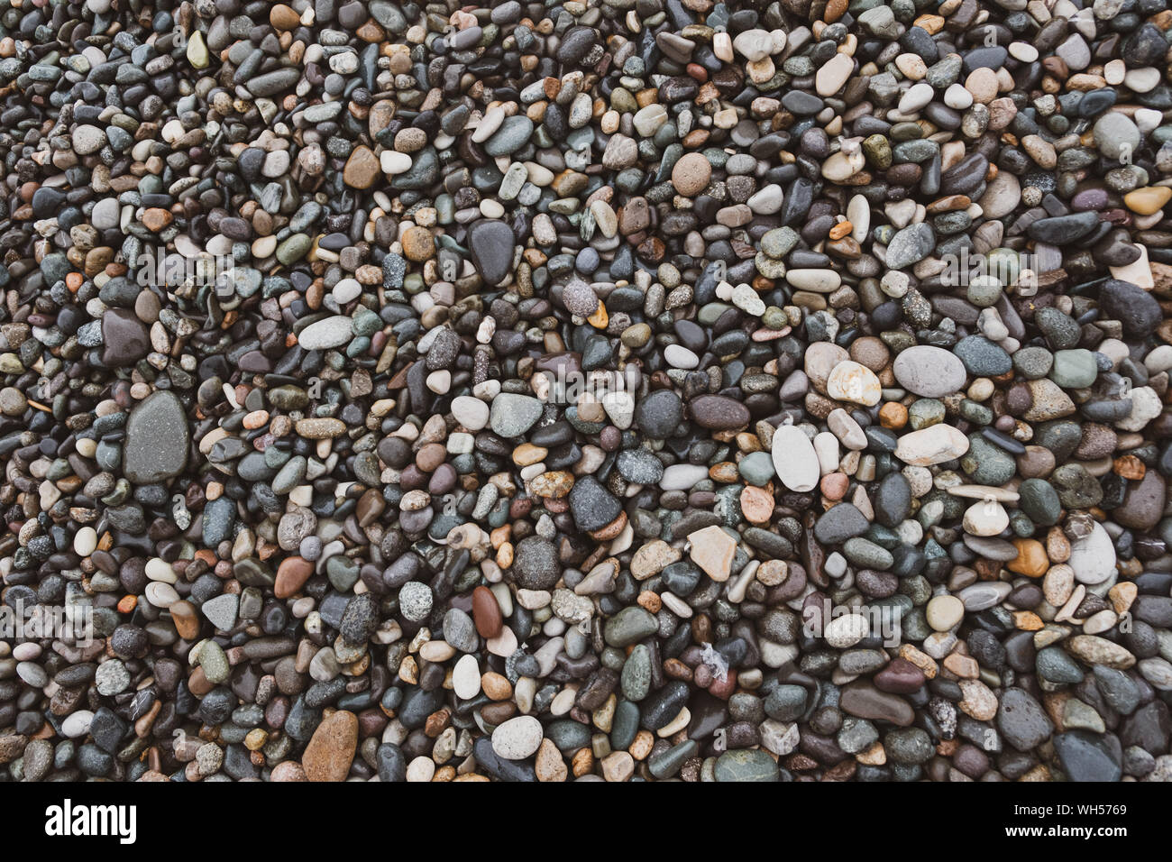 Wet pebbles background, top view. Multi-colored stones and rocks on the seashore. Stock Photo