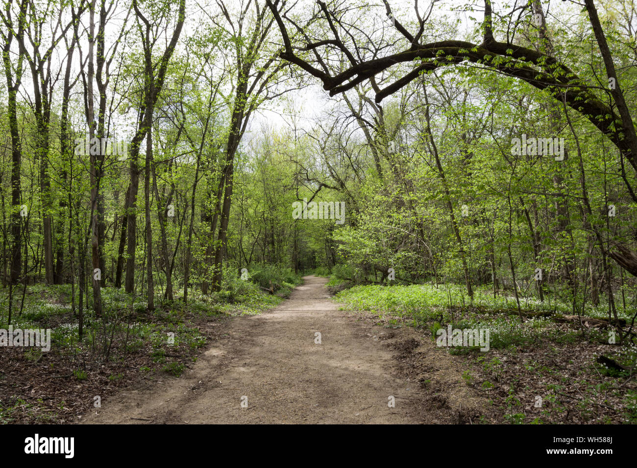 Seven Mile Creek County Park, Minnesota Stock Photo Alamy