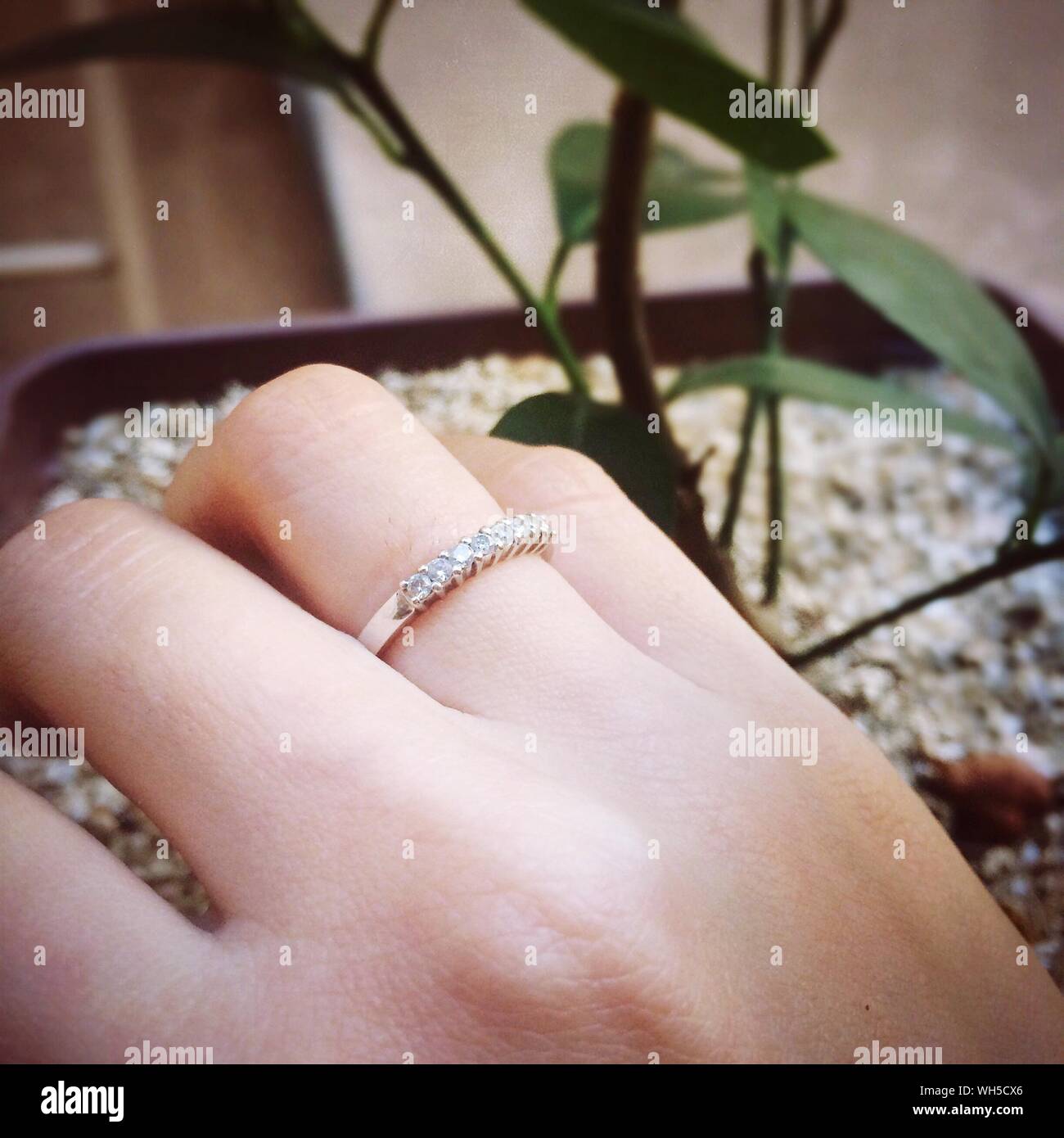 Woman wearing plant ring hires stock photography and images Alamy