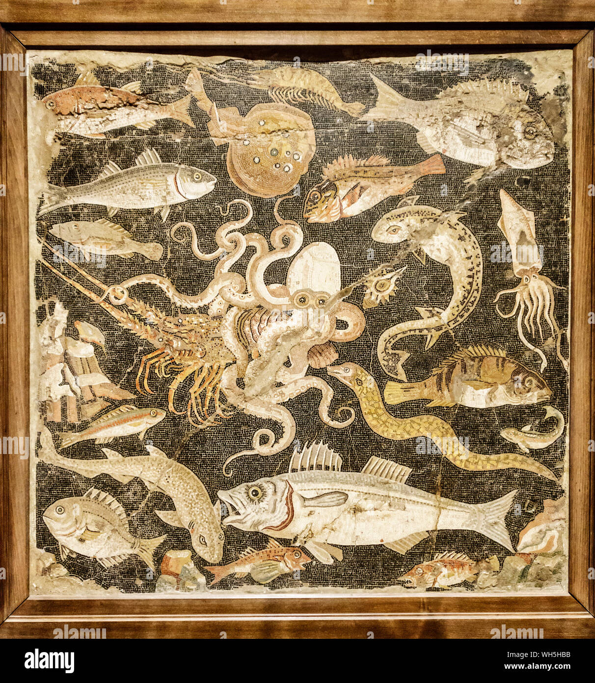 Pompeii, Italy. Mosaic of Mediterranean marine life found in the House of the Faun, now in the National Archaeological Museum of Naples (circa 50BC) Stock Photo