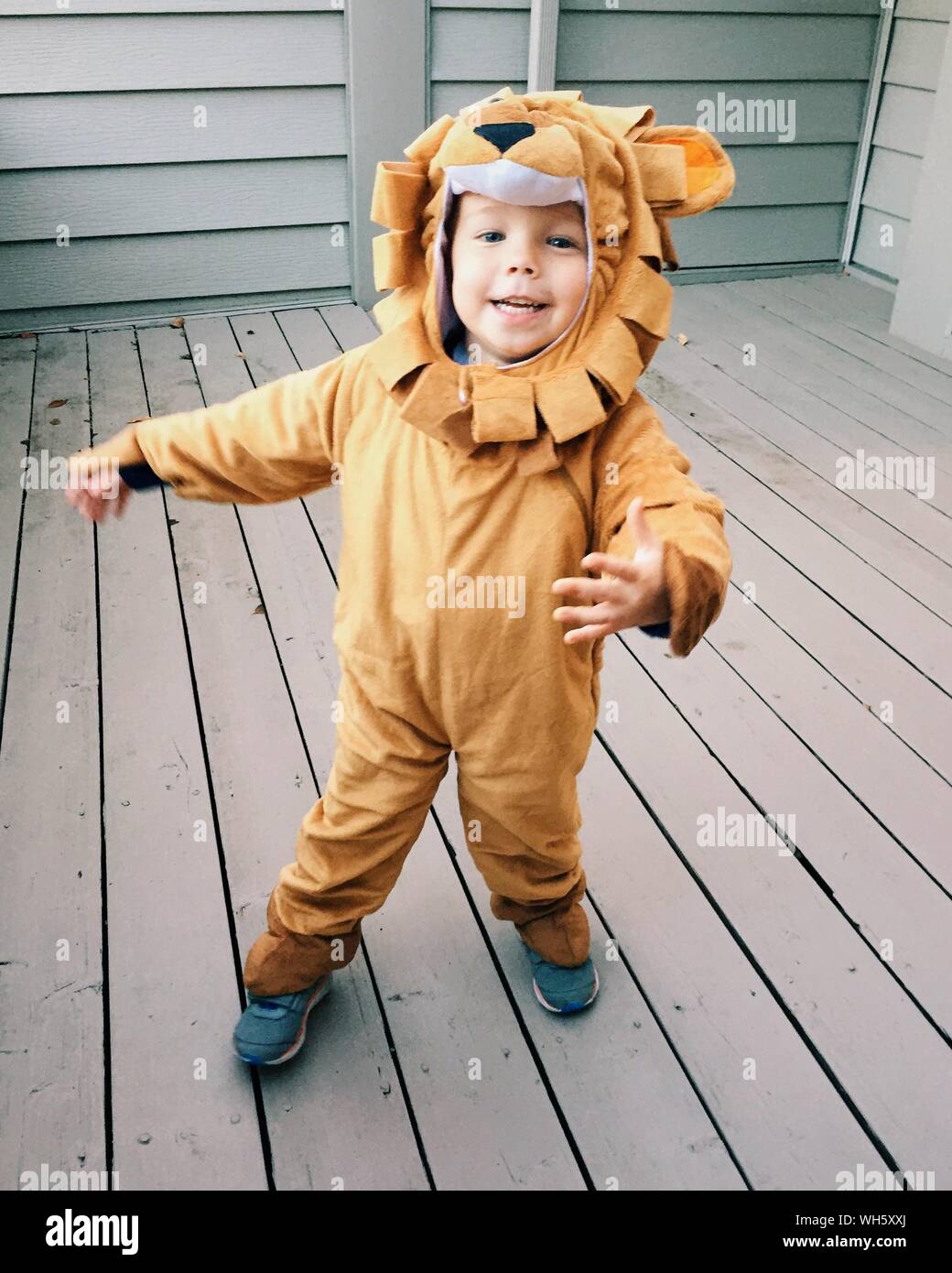 Baby lion costume hires stock photography and images Alamy