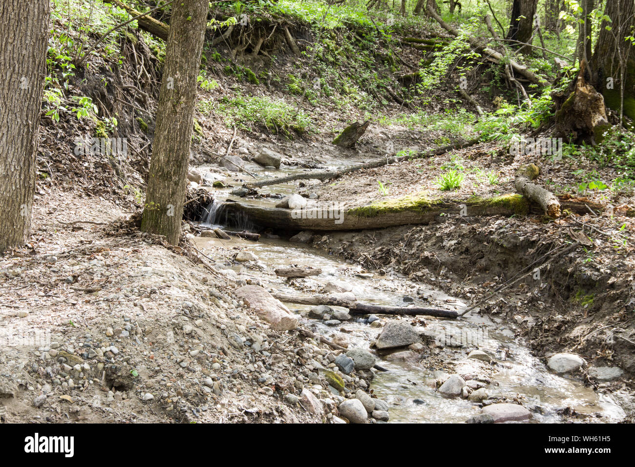 Seven Mile Creek County Park, Minnesota Stock Photo Alamy