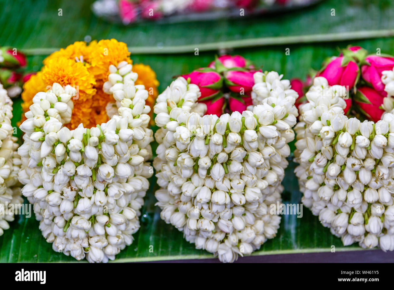 Various jasmine Phuang malai, traditional Thai flower garland offerings at Pak Khlong Talat, Bangkok flower market. Thailand. Stock Photo