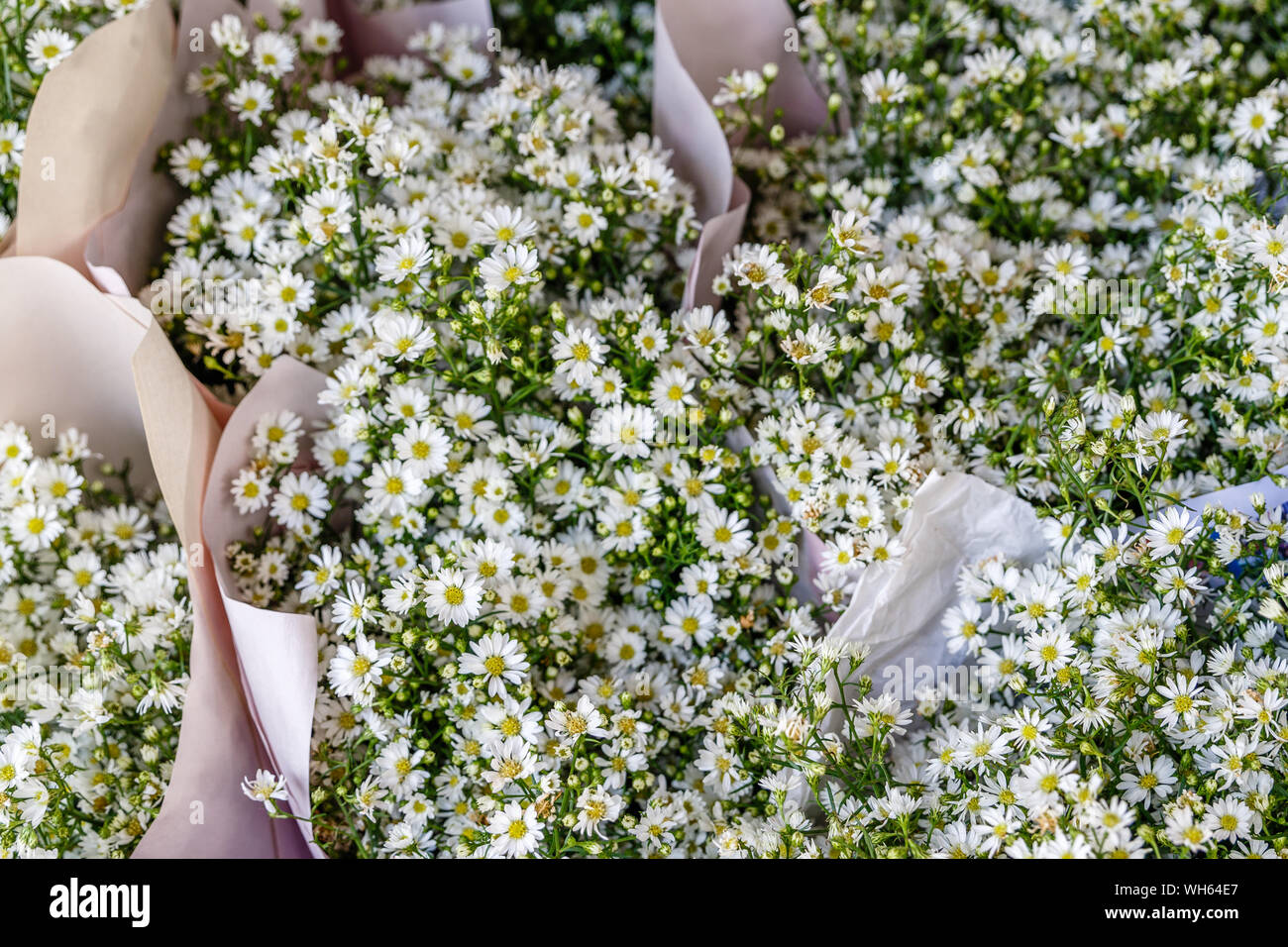 Bouquets of white aster flowers at Pak Khlong Talat, famous flower market in Bangkok, Thailand. Stock Photo
