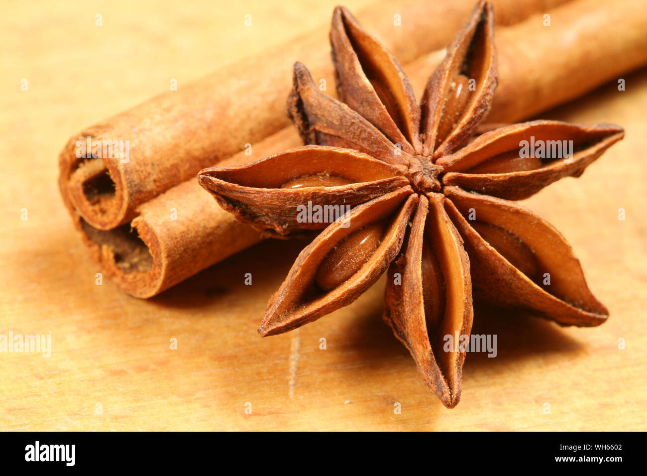 Star anise and cinnamon stick - closeup Stock Photo
