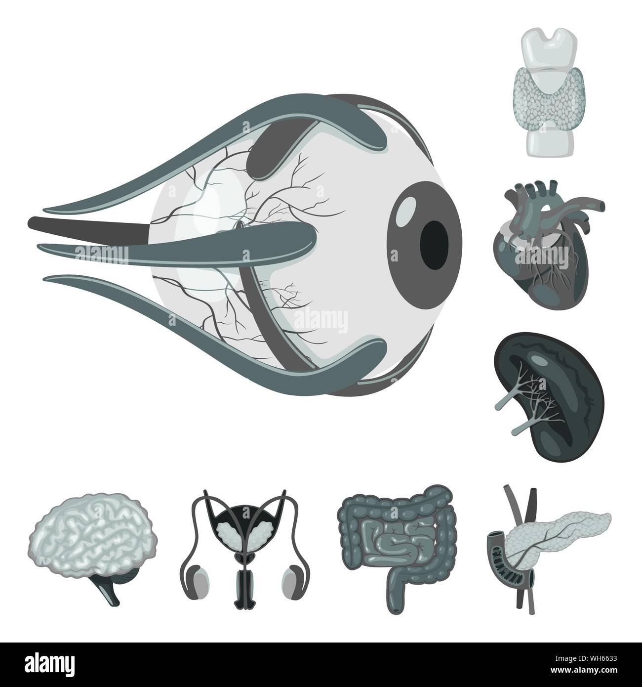 Vector Vectors Stock Vector Image & Art - Alamy