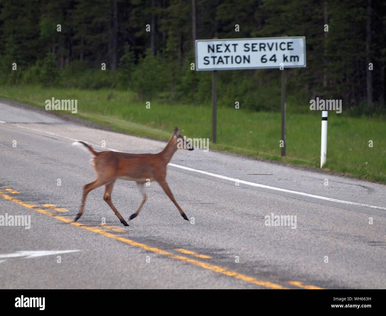 Road information hi-res stock photography and images - Alamy