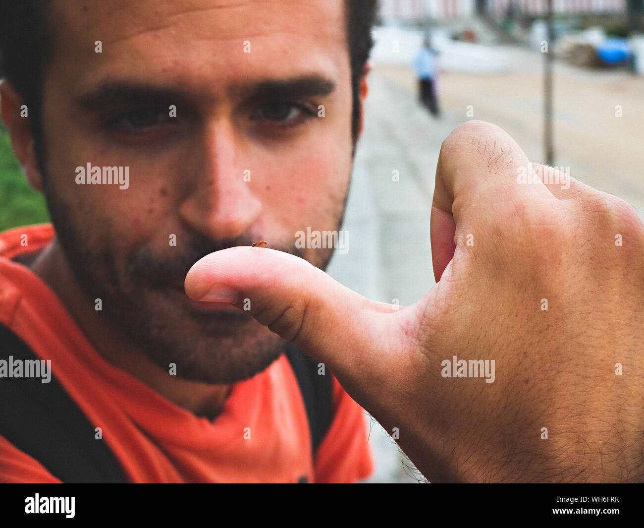 Adult ant hi-res stock photography and images - Alamy