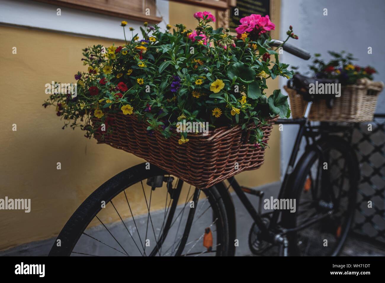 Close-up Of Potted Plant In Basket Stock Photo