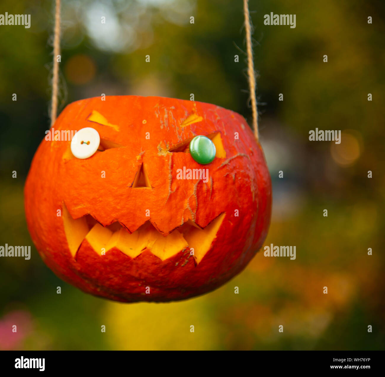 Bright orange Halloween pumpkin, carved with his own hands Stock Photo ...