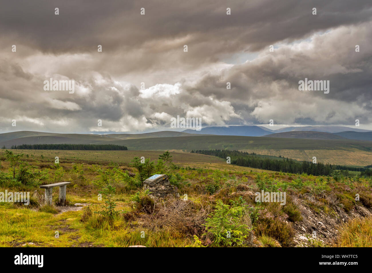 GLENMULLIACH FOREST WALK GLENLIVET ESTATE MORAY SCOTLAND THE VIEWPOINT SEAT AND EXPLANATORY PICTORIAL SIGN Stock Photo