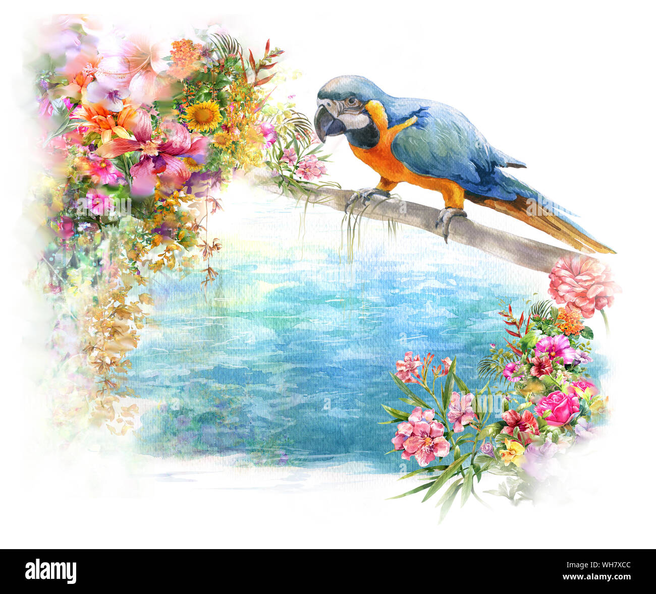 watercolor painting with bird and flowers, on white background Stock ...