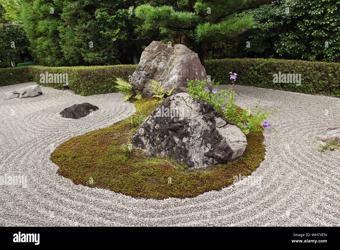 Japanese zen garden in Kyoto (Taizo-in) Stock Photo