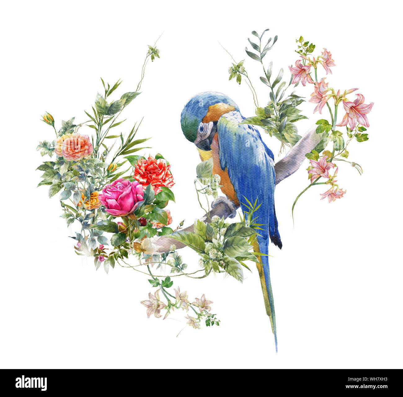 watercolor painting with bird and flowers, on white background Stock ...