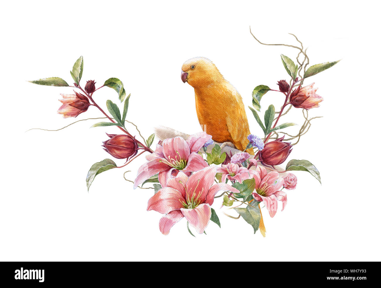 watercolor painting with bird and flowers, on white background Stock ...