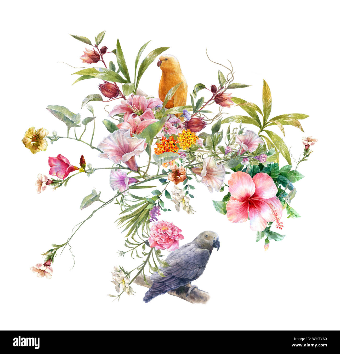 watercolor painting with bird and flowers, on white background Stock ...