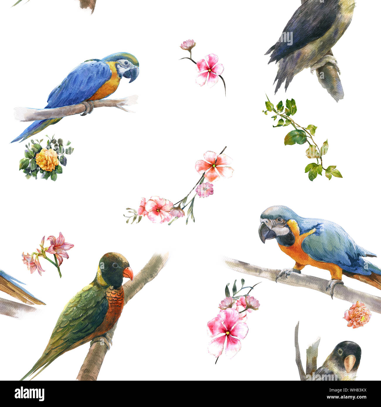 Watercolor painting with birds and flowers, seamless pattern on white ...