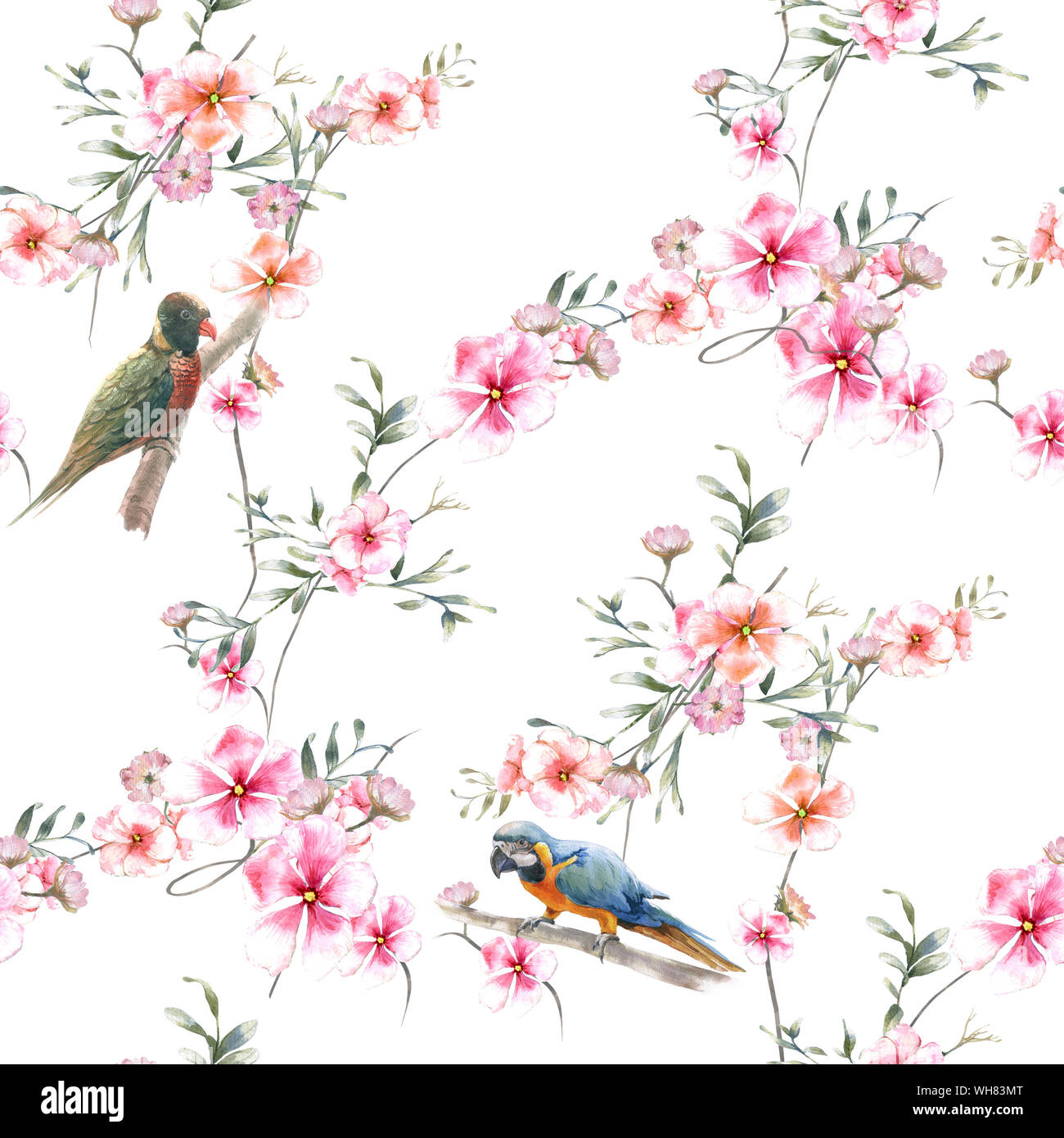 Watercolor painting with birds and flowers, seamless pattern on white ...