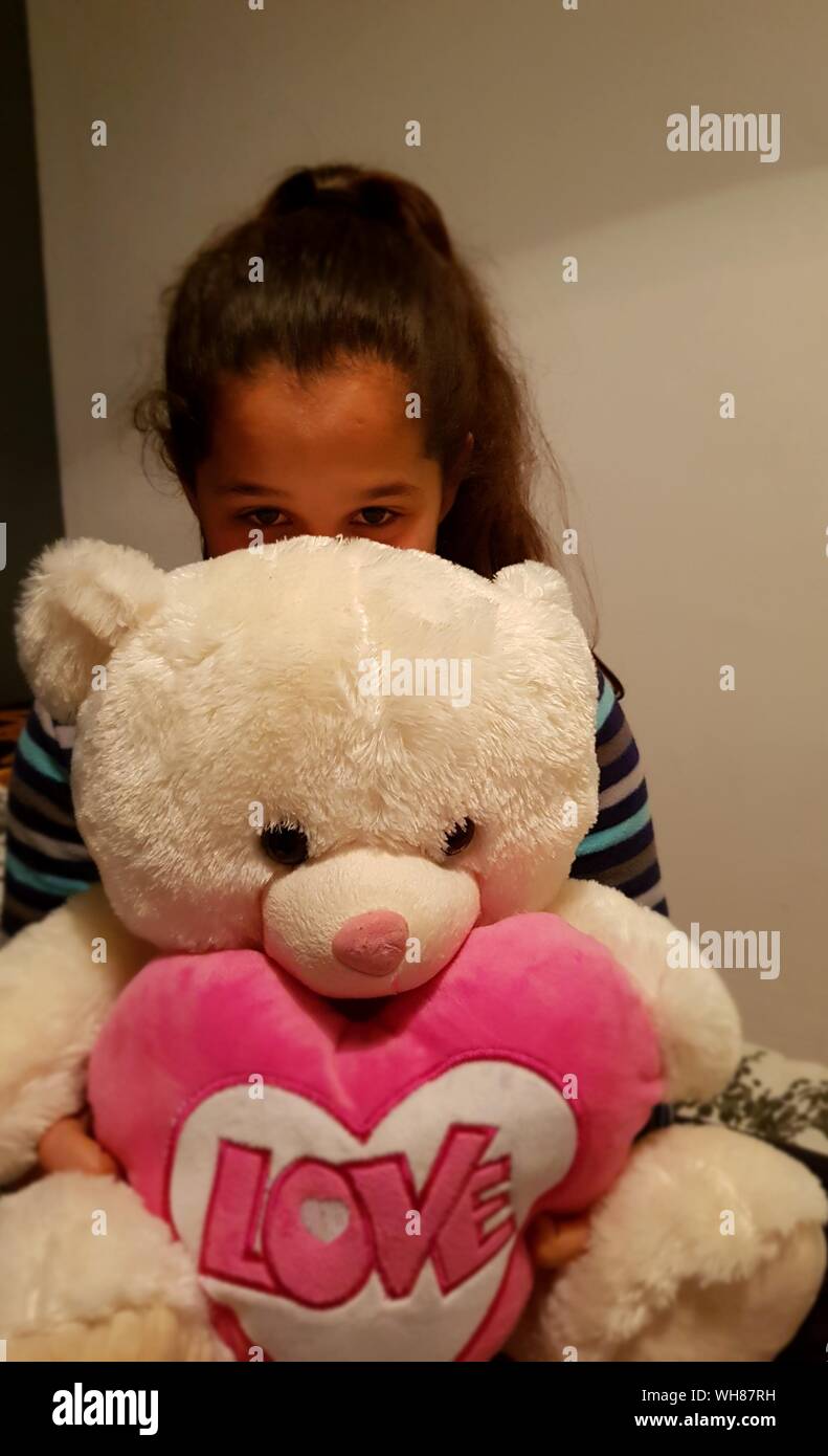 teddy bear in home