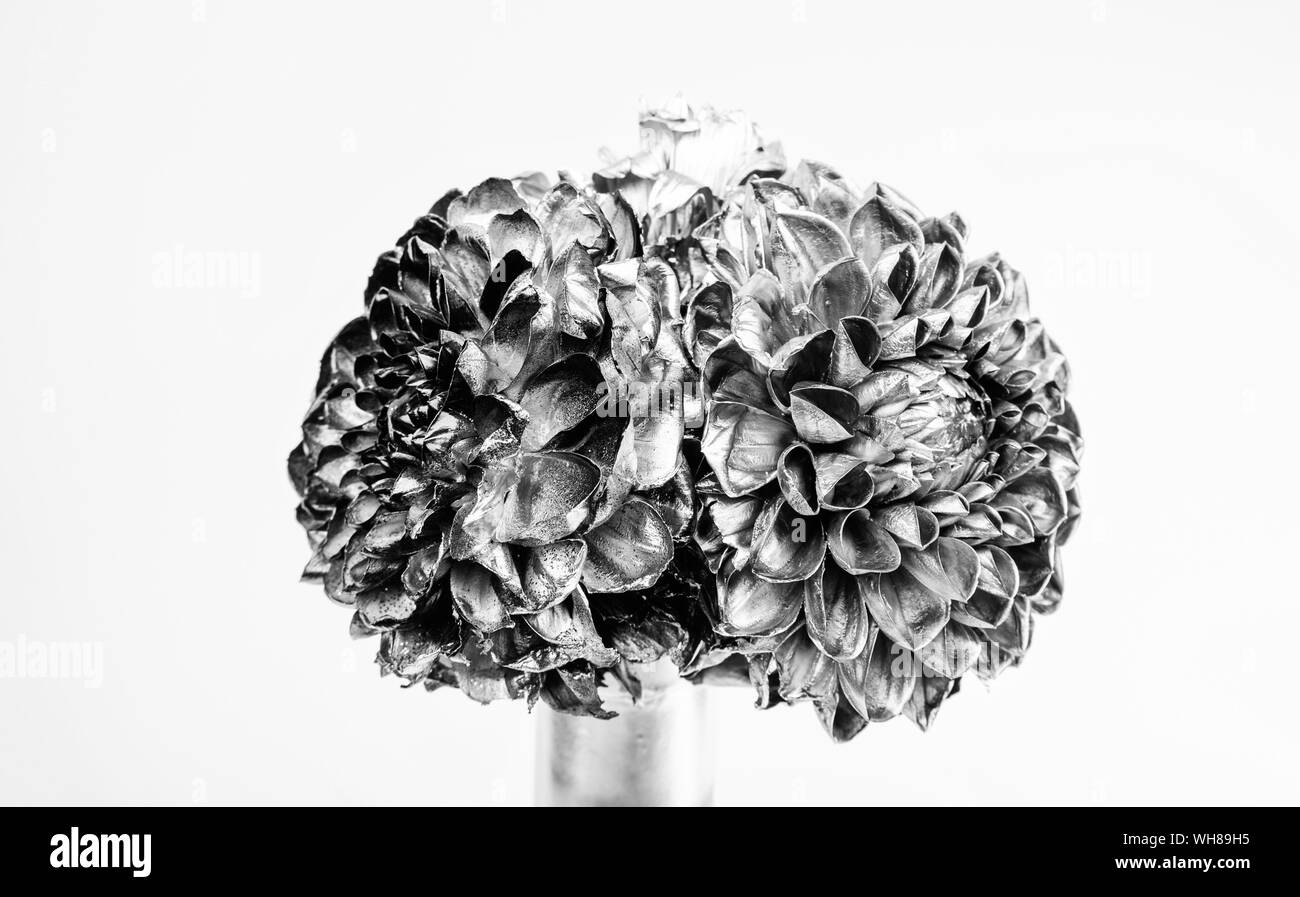 grunge beauty. wealth and richness. isolated on white. floristics business. metallized decoration. luxury and success. metallized antique decor. silver and gold chrysanthemum flower in bottle. Stock Photo