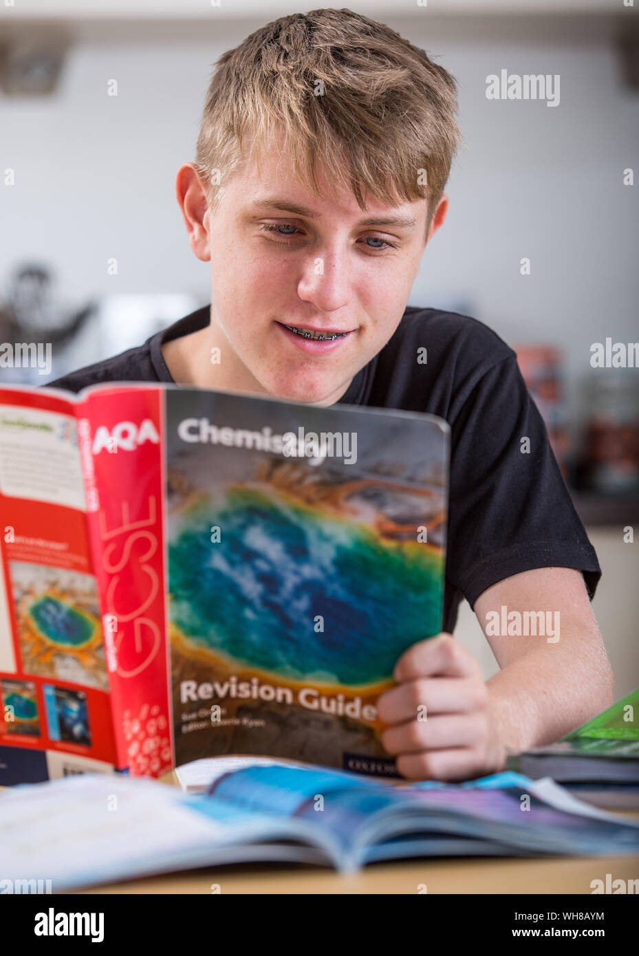 A school pupil revising for his GCSE exams Stock Photo