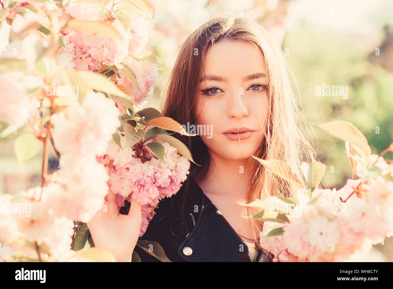 Girl in cherry blossom flower. Sakura tree blooming. Soft and tender
