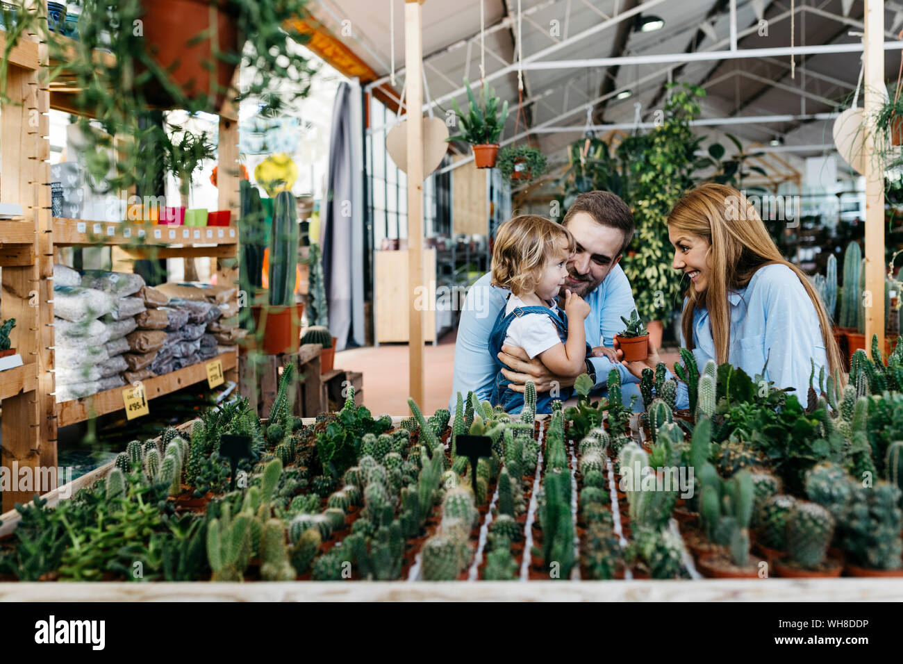 Mother, father and daughter in the cactus area inside a garden center Stock Photo