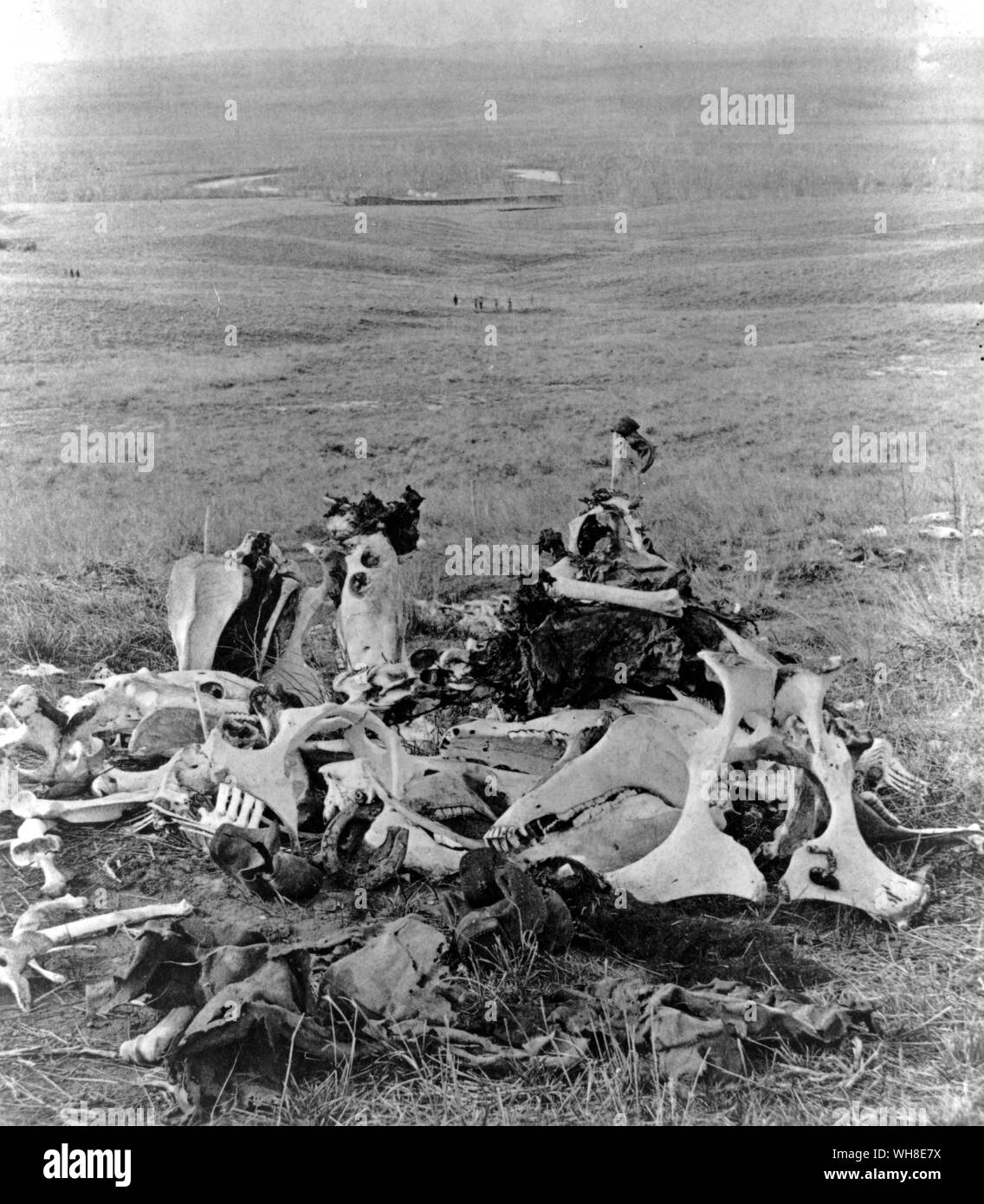 The remains of the Seventh Cavalry. Custers last stand. Thirty-eight men of the Seventh Cavalry died during the Battle of Little Bighorn in 1876. Stock Photo