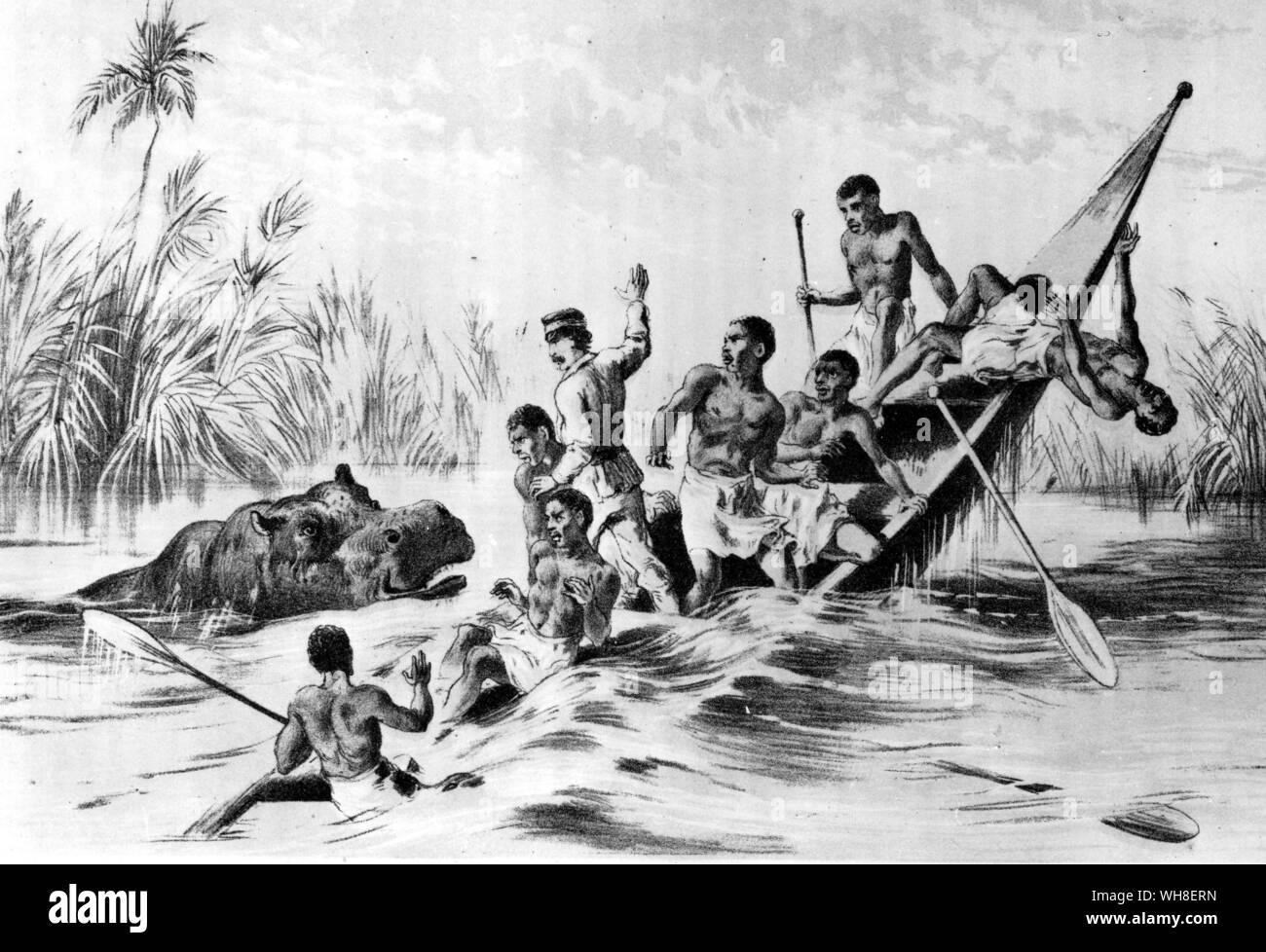 The Adventure With a Hippopotamus. David Livingstone (1813-1873), Scottish missionary and explorer, travelled extensively in Africa and discovered the Victoria Falls and the Zambezi River. The African Adventure - A History of Africa's Explorers by Timothy Severin, page 213. . . Stock Photo