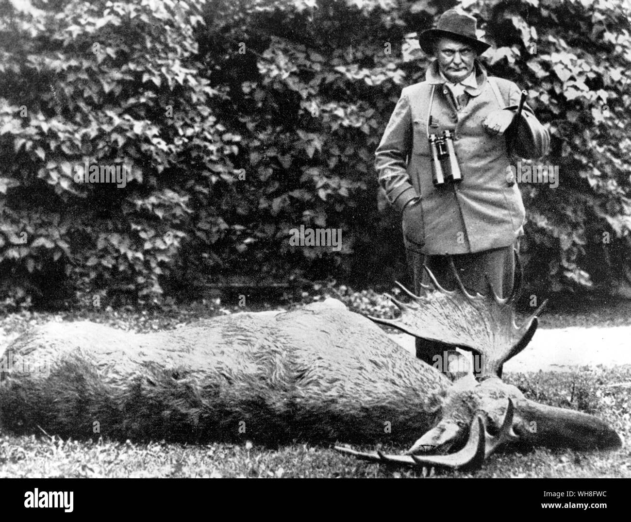Hermann Goering as a hunter, next to a large deer that he hunted and killed. Hermann Wilhelm Göring (also Goering in English) (1893-1946) was an early member of the Nazi party, Commander of the Luftwaffe, and one of the main leaders of Nazi Germany. . . . Stock Photo