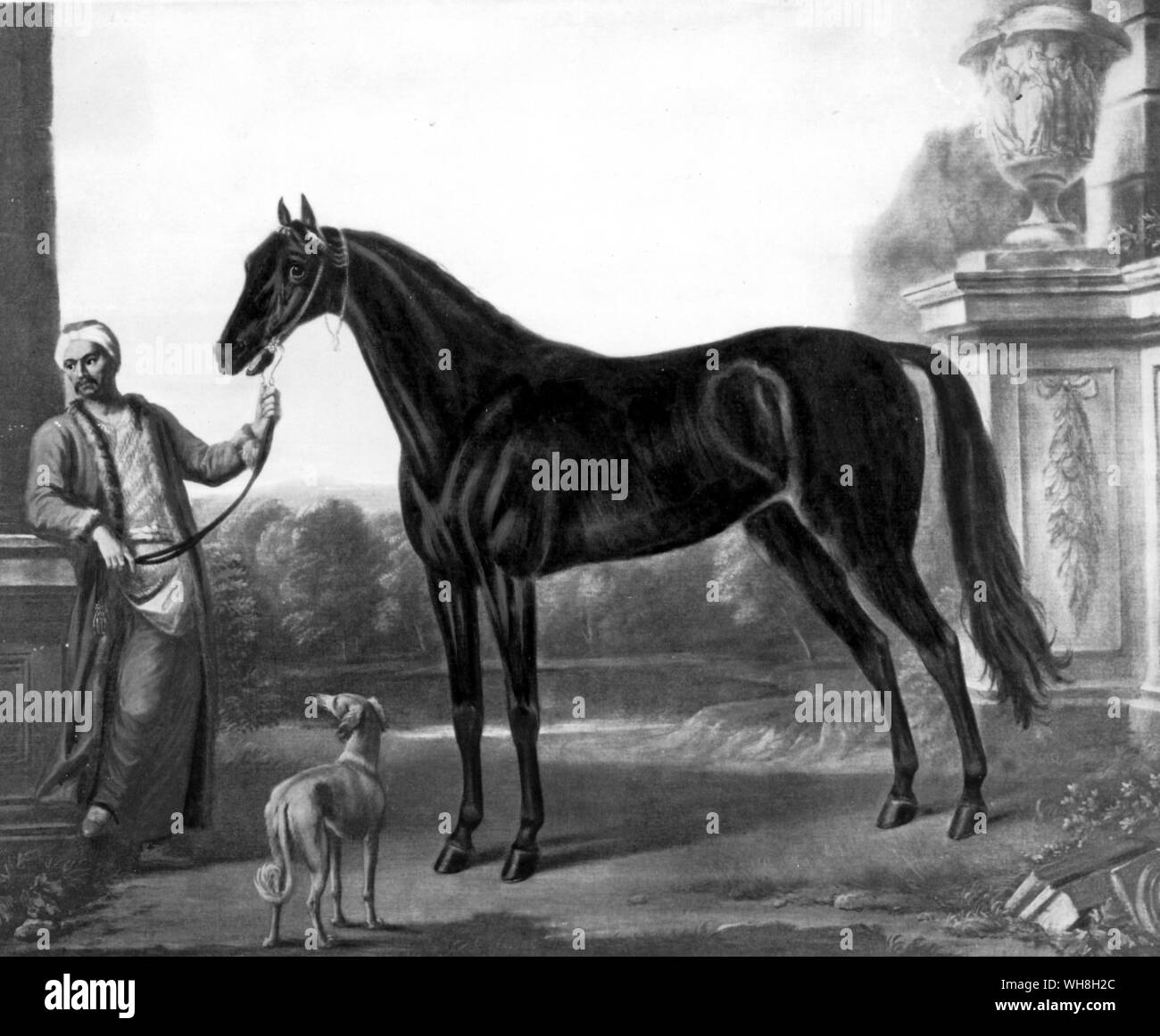 Byerley Turk, the eldest of the three famous founders of the Thoroughbred, the Byerley Turk's male line descends to the present through Herod. Dark brown colt, c. 1679 by Wootten. Imported into England in 1680s. As his portrait by Wootton shows, the Byerley Turk was an unmarked, dark brown horse with an Arabian appearance, despite his title as a Turk. He was very prepotent, and many of his offspring are noted to have been brown or black like himself. The History of Horse Racing by Roger Longrigg, page 59. . . . Stock Photo