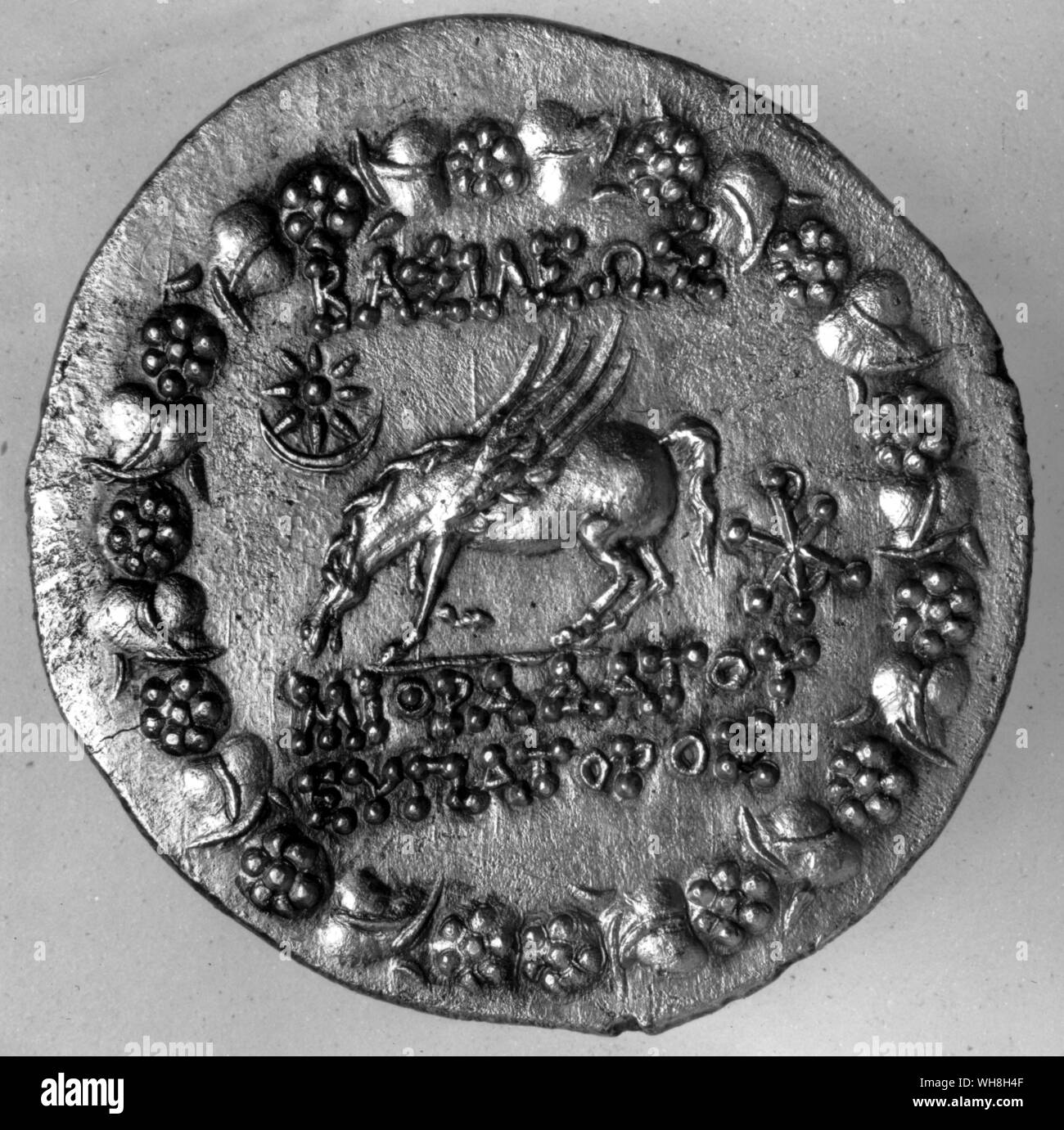 Horses in Myth and Legend. Greek Coin showing the winged horse Pegasus drinking. Encyclopedia of the Horse page 236. Stock Photo
