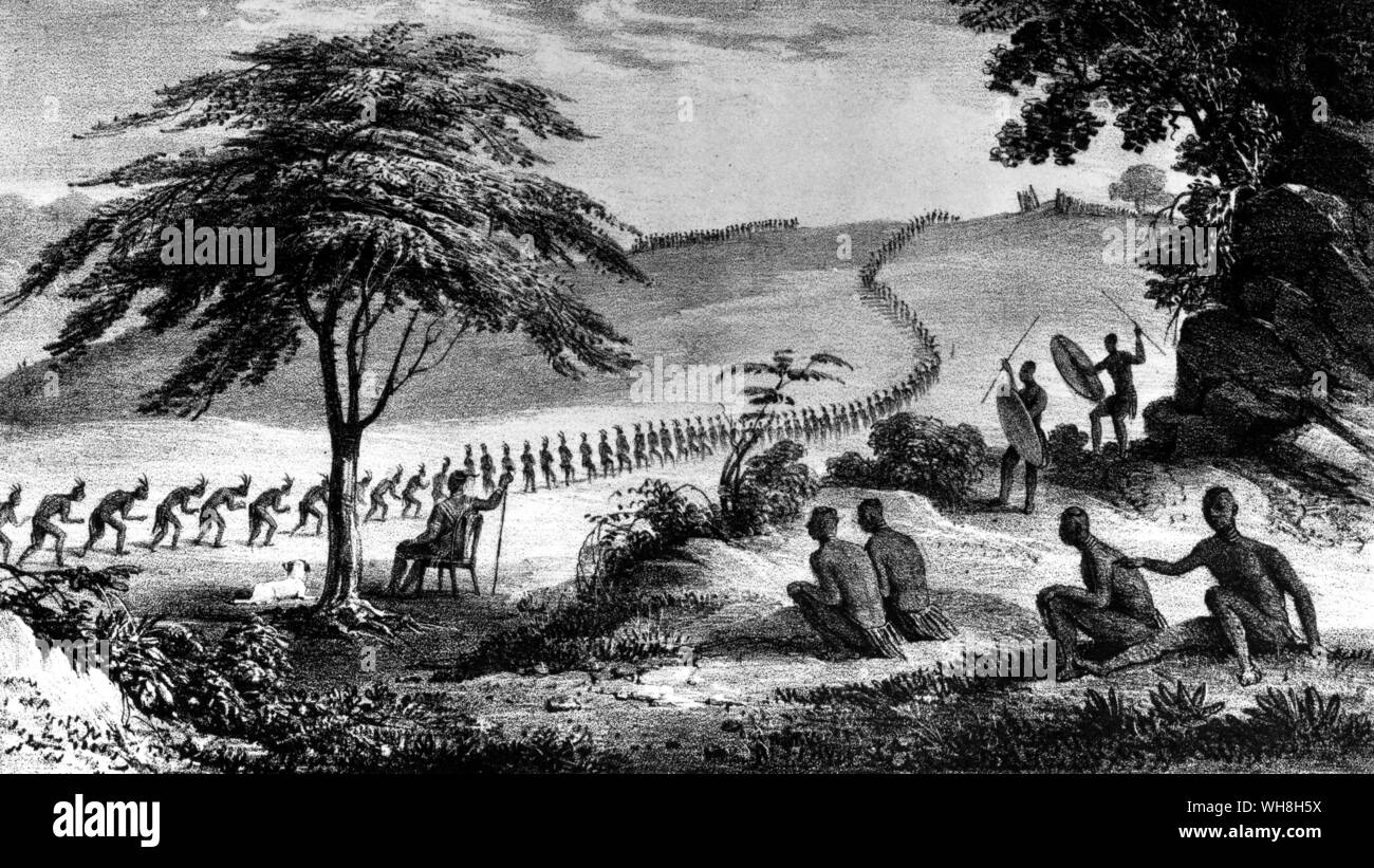 Warriors of a Zulu regiment bow in homage to Dingaan as they file past him. The African Adventure - A History of Africa's Explorers by Timothy Severin page 157. Stock Photo