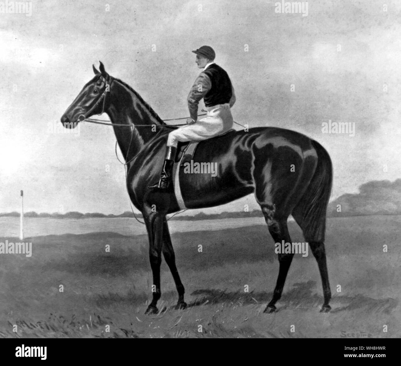 One of the greatest half-dozen mares in racing history, bred 1899 by Persimmon out of Ornament, and changing hands surprisingly often. She ran 25 times. Her 13 wins included every classic, except the Derby, of 1902. Like her younger contemporary Pretty Polly she was a disappointment at stud in the short term, but an important influence in the long. The History of Horse Racing by Roger Longrigg, pages 276-7.. . . Stock Photo