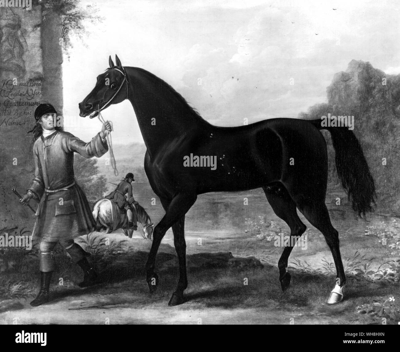 This is one of the stallions privately imported to Yorkshire before the end of the 17th century which, like the Darcy 'Turks', have left no surviving male line, but are nevertheless as important as the three horses that have. Mr Edward Leedes' stallion has, by Lady Wentworth's reckoning, 112,667 crosses in the pedigree of Bahram (English triple crown 1935). The History of Horse Racing by Roger Longrigg, page 62-63. Stock Photo