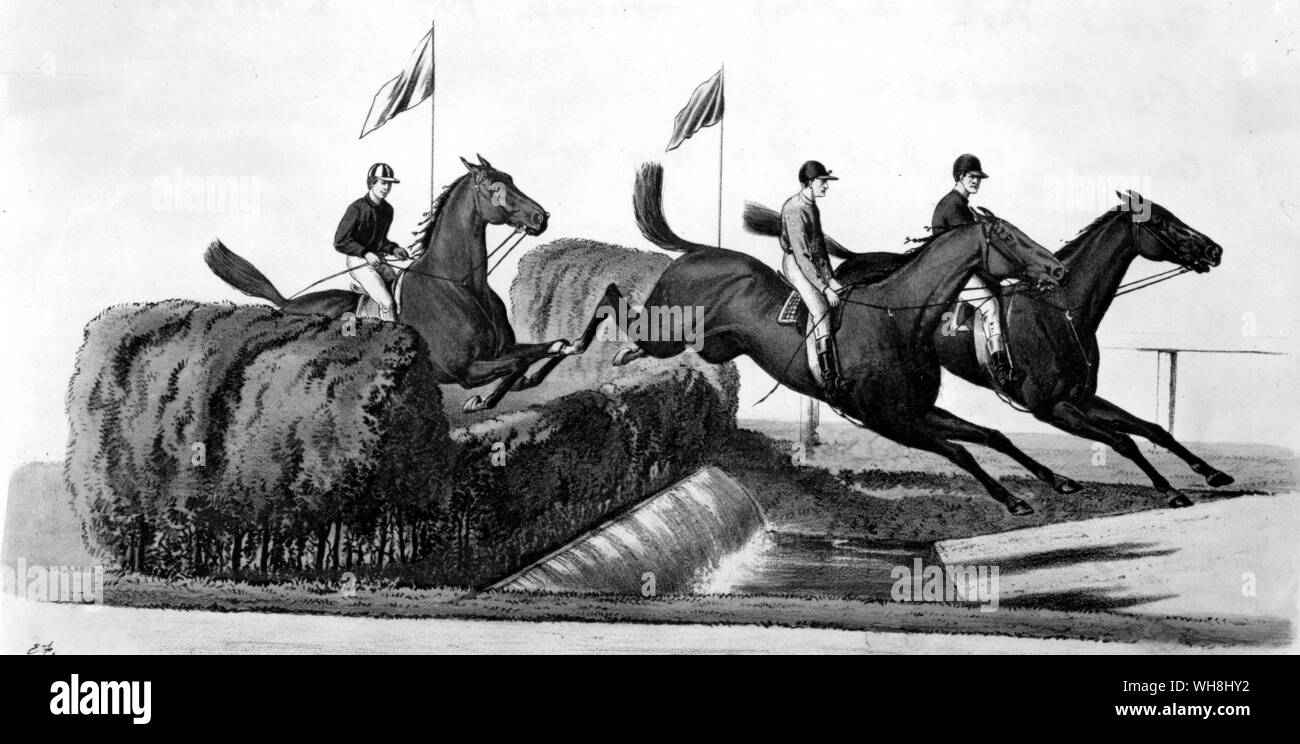 Jerome Park. This is the Handicap Steeplechase Purse of $600, of which $100 to the second, run on 6th November 1877. From the right the horses are Deadhead, New York and Dandy. they finished in that order. Races like this so increased the popularity of Jerome Park that the normally-empty grass slopes (see illustration p.224) 'swarmed with elegant ladies and their attendant gentlemen.' The History of Horse Racing by Roger Longrigg, page 232-3. Stock Photo